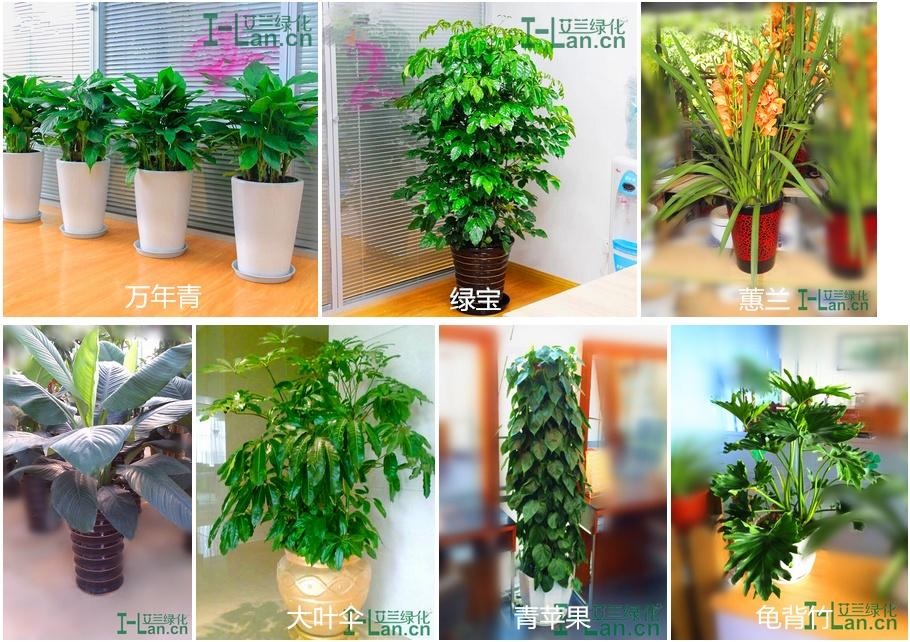 BG大游集团(中国)唯一官方网站