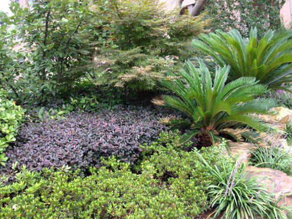 BG大游集团的愿景与理想